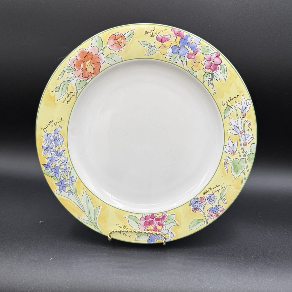 Set of 2 Furio Creme Brulee 11" Dinner Plate - Designed by Sue Lipkin Read Desc.